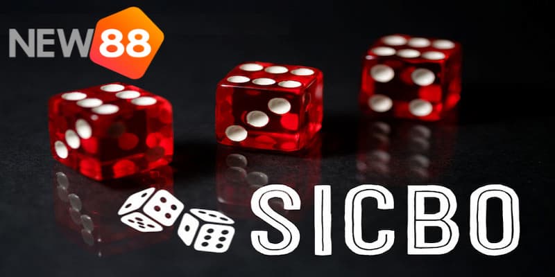 Cách chơi sicbo chi tiết nhất dành cho cược thủ mới chơi 6 Đôi nét về tựa game sicbo