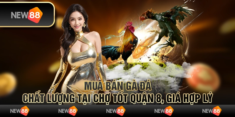 Mua bán gà đá chất lượng tại Chợ Tốt quận 8, giá hợp lý