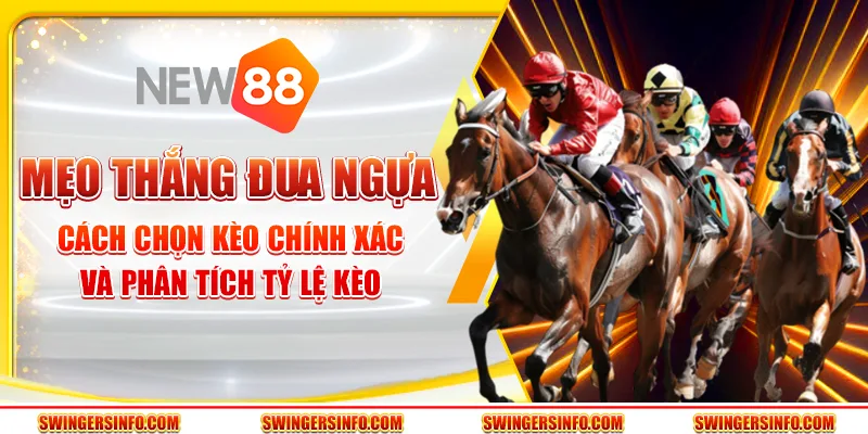 Mẹo thắng đua ngựa – Cách chọn kèo chính xác và phân tích tỷ lệ kèo
