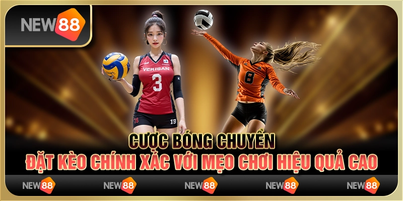Cược bóng chuyền – đặt kèo chính xác với mẹo chơi hiệu quả cao