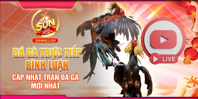 Đá Gà Trực Tiếp Bình Luận - Cập Nhật Trận Đá Gà Mới Nhất 8 da-ga-truc-tiep-binh-luan-cap-nhat-tran-da-ga-moi-nhat
