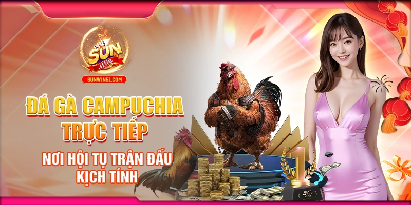 Đá Gà Campuchia Trực Tiếp: Nơi Hội Tụ Trận Đấu Kịch Tính