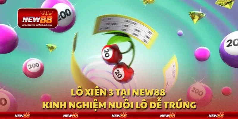 Lô xiên 3 tại New88 - Kinh nghiệm nuôi lô dễ trúng