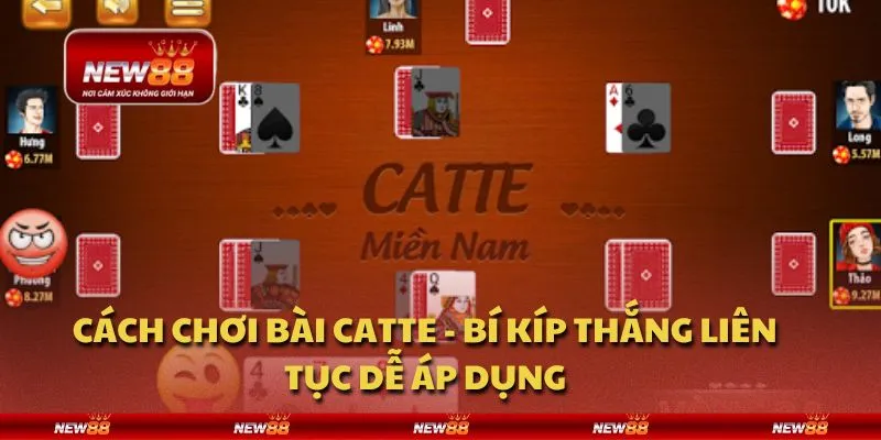 Cách chơi bài Catte - Bí kíp thắng liên tục dễ áp dụng