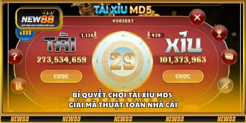 Bí quyết chơi tài xỉu MD5 - Giải mã thuật toán nhà cái