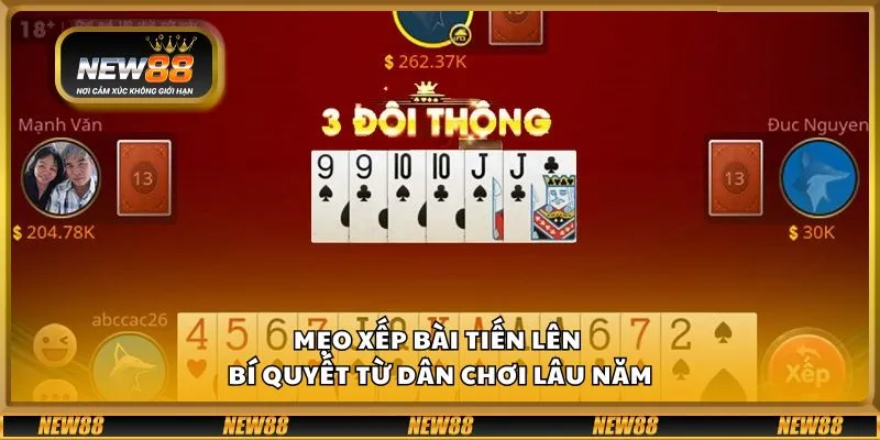 Cách tạo dàn đề - Bí quyết nuôi dàn hiệu quả theo khung